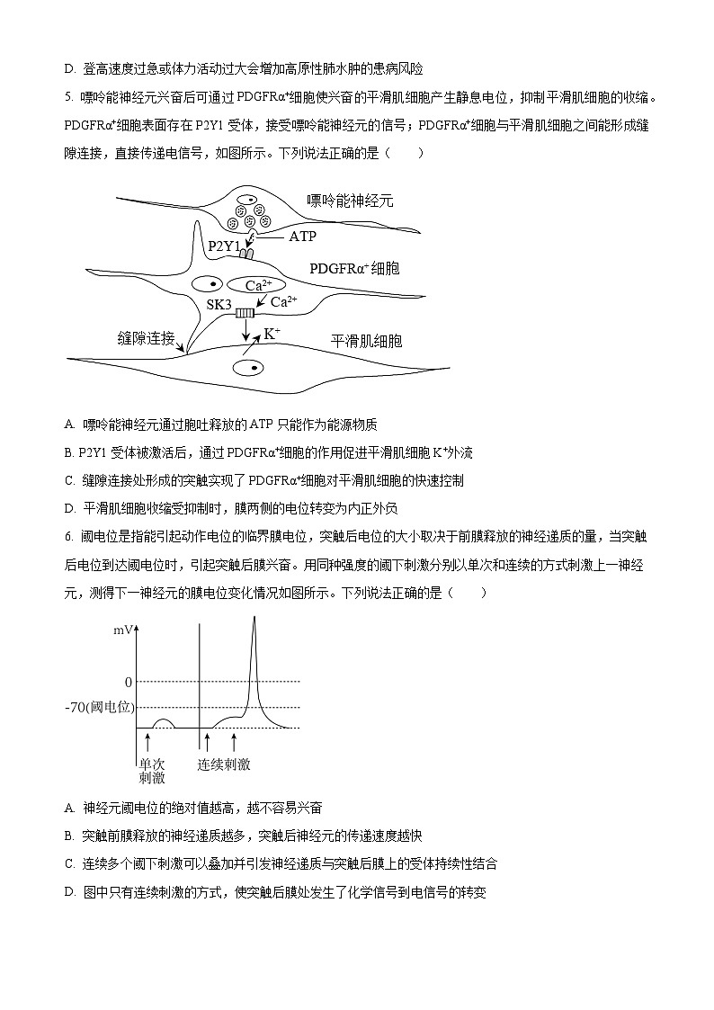 精品解析：山东省青岛地区2022-2023学年高二上学期期中生物试题（原卷版+答案解析）02