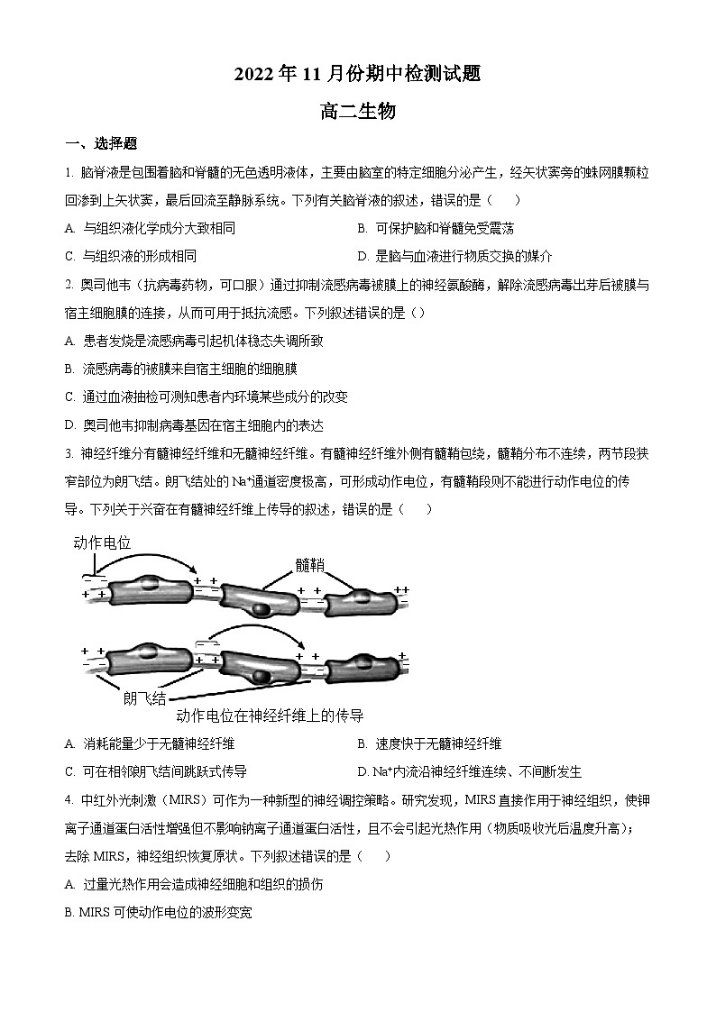 精品解析：山东省潍坊安丘市2022-2023学年高二上学期期中生物试题（原卷版+答案解析）01