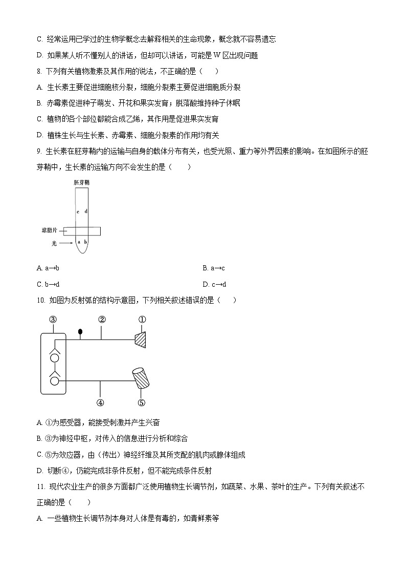 精品解析：山东省滨州市沾化区实验高级中学2022-2023学年高二上学期期中考试生物试题（原卷版+答案解析）第2页
