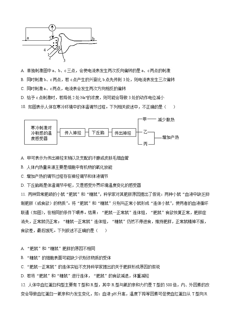 精品解析：山东省济南市历城二中2022-2023学年高二上学期期中生物试题（原卷版+答案解析）03