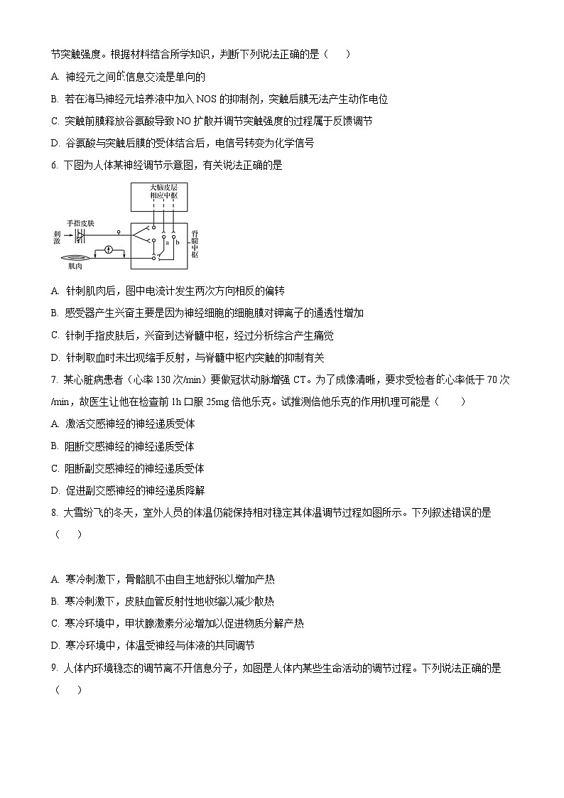 精品解析：山东省济宁市泗水县2022-2023学年高二上学期期中生物试题（原卷版+答案解析）02