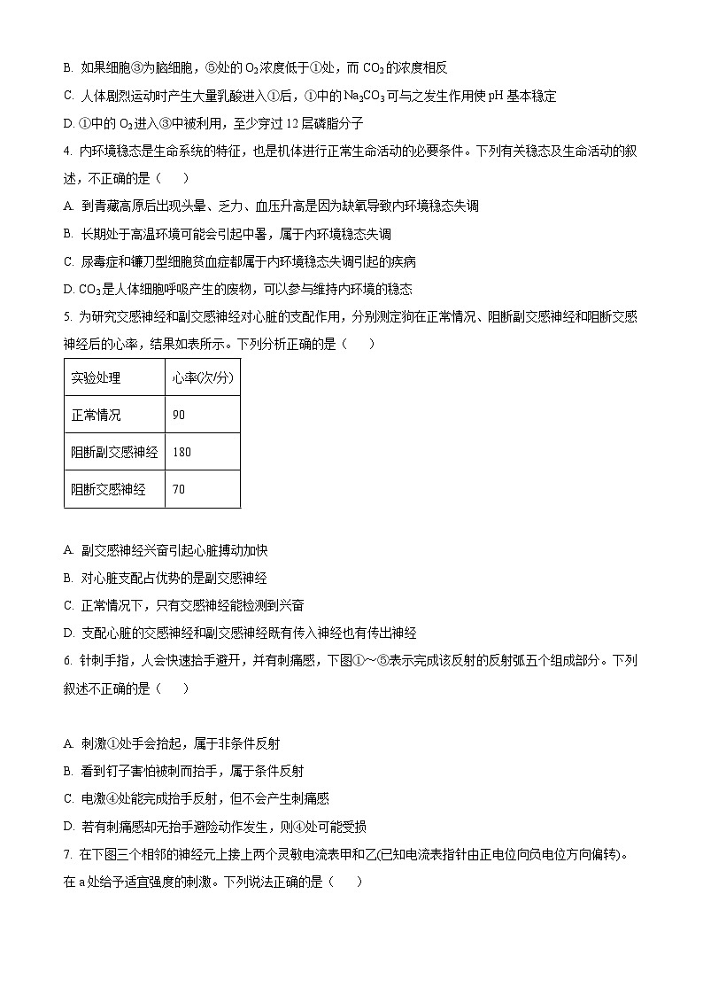 精品解析：山东省济宁市微山县二中2022-2023学年高二上学期期中生物试题（原卷版+答案解析）第2页