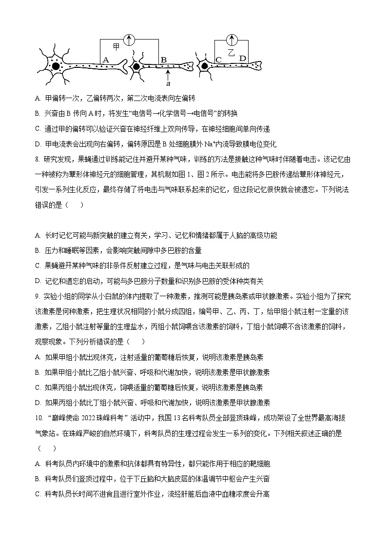 精品解析：山东省济宁市微山县二中2022-2023学年高二上学期期中生物试题（原卷版+答案解析）第3页
