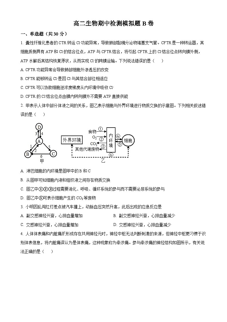 精品解析：山东省聊城市2022-2023学年高二上学期期中模拟生物试题B（原卷版+答案解析）01
