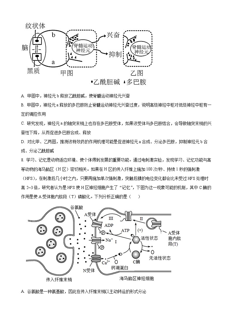精品解析：山东省聊城市2022-2023学年高二上学期期中模拟生物试题B（原卷版+答案解析）03