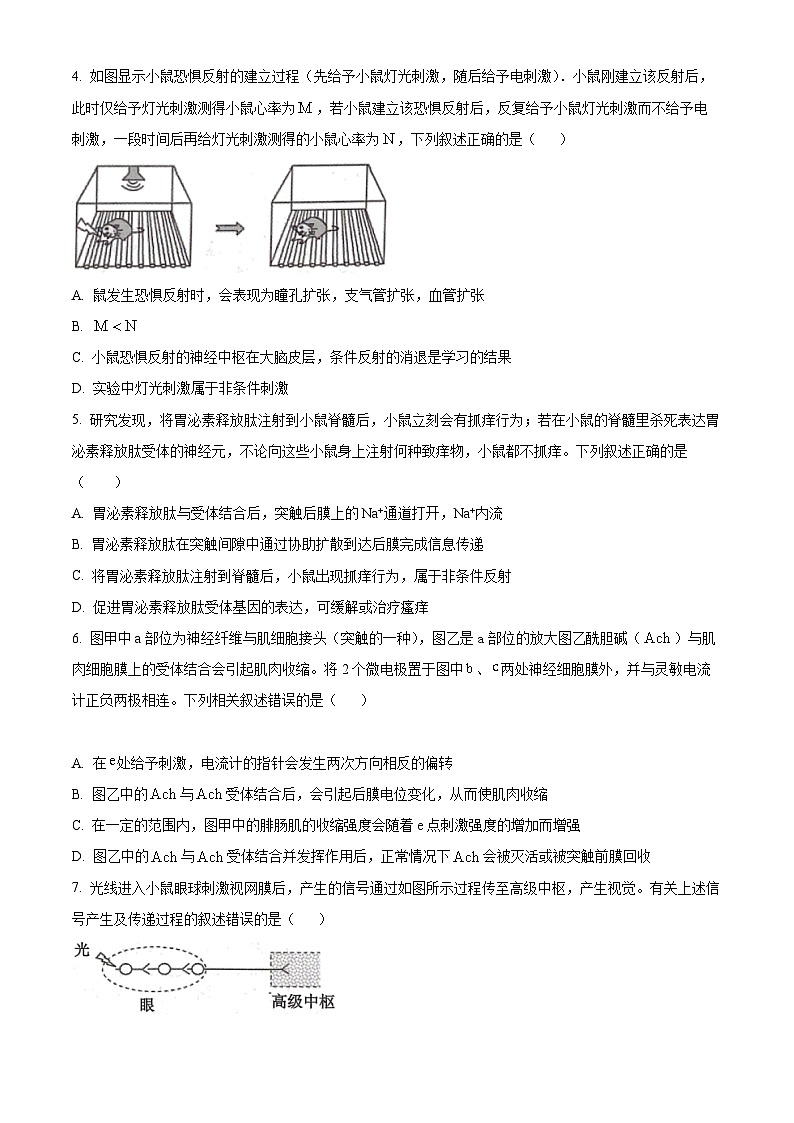 精品解析：山东省聊城市东阿县一中2022-2023学年高二上学期期中模拟A卷生物试题（原卷版+答案解析）02