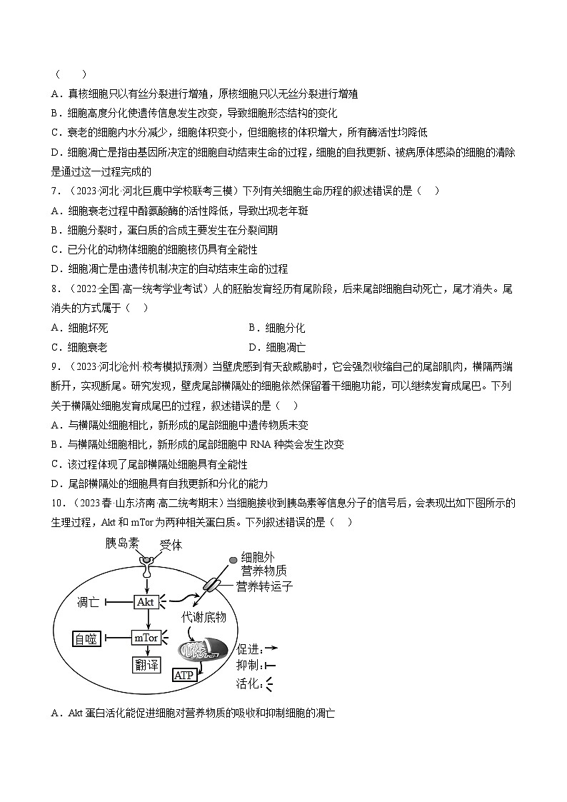 2024年高考生物一轮复习讲练测（新教材新高考）第14讲 细胞的分化、衰老、死亡和癌变（练习）（原卷版+答案解析）02