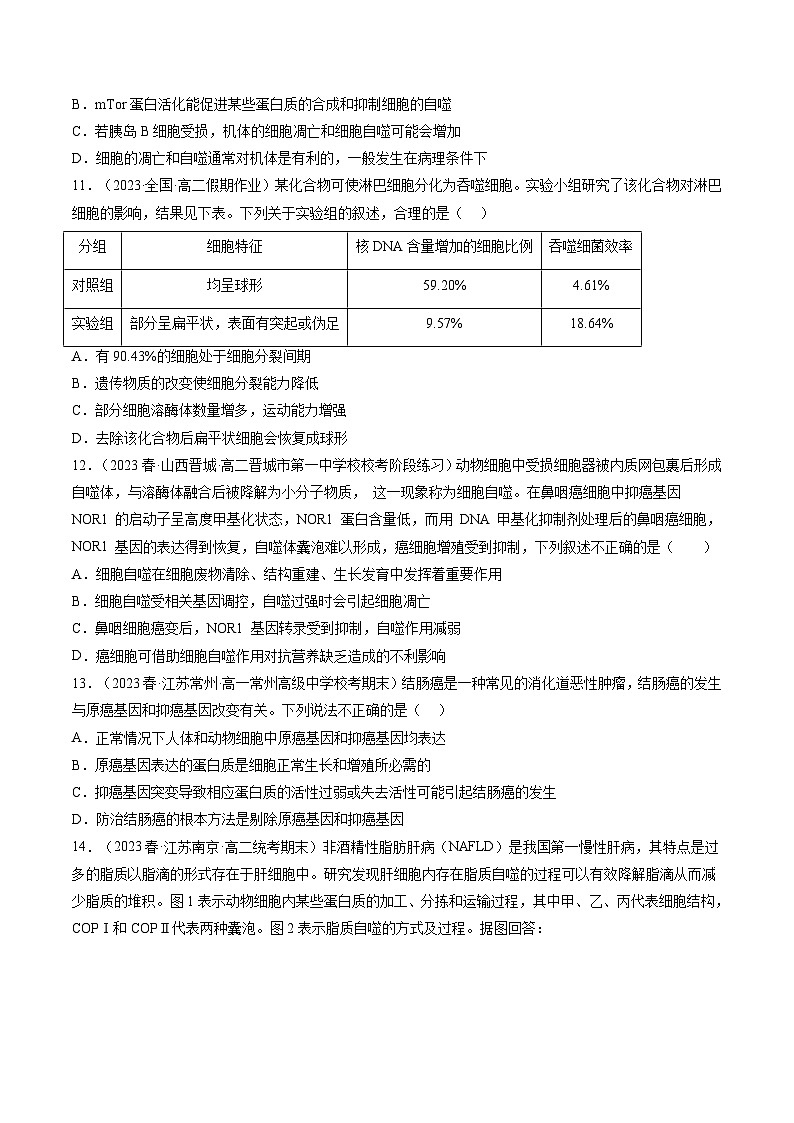 2024年高考生物一轮复习讲练测（新教材新高考）第14讲 细胞的分化、衰老、死亡和癌变（练习）（原卷版+答案解析）03