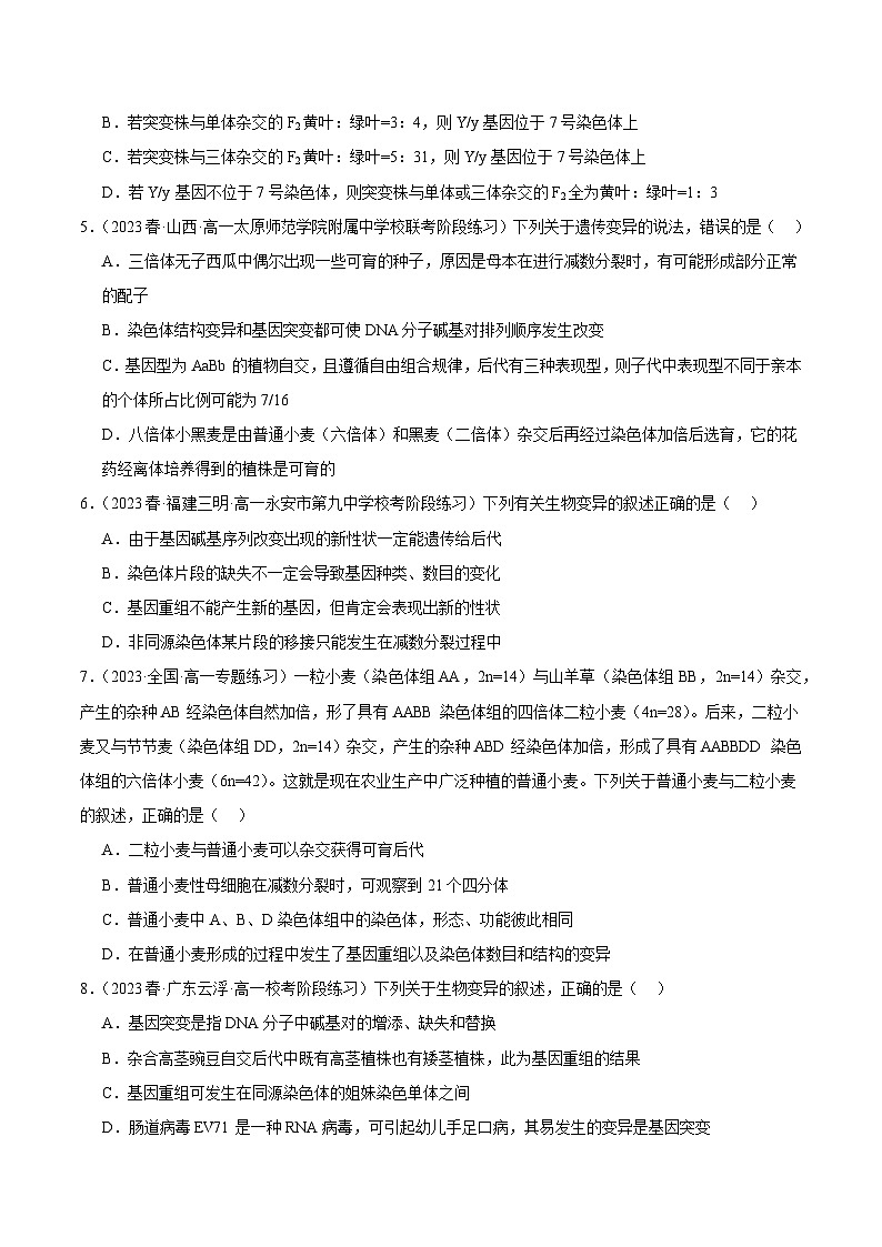 2024年高考生物一轮复习讲练测（新教材新高考）第七单元 生物的变异与进化（测试）（原卷版+答案解析）02