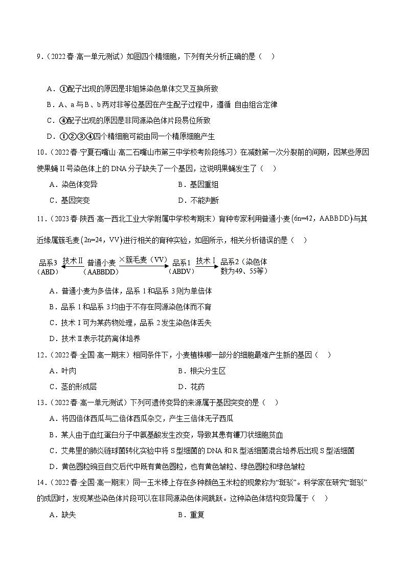 2024年高考生物一轮复习讲练测（新教材新高考）第七单元 生物的变异与进化（测试）（原卷版+答案解析）03