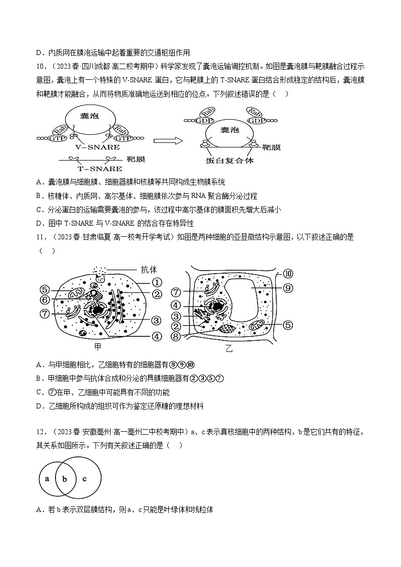 2024年高考生物一轮复习讲练测（新教材新高考）第6讲 细胞质和生物膜系统（练习）（原卷版+答案解析）03
