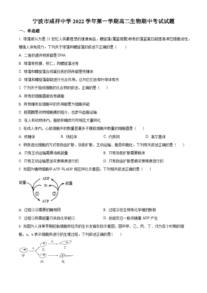 精品解析：浙江省宁波市咸祥中学2022-2023学年高二上学期期中检测生物试题（原卷版+答案解析）01