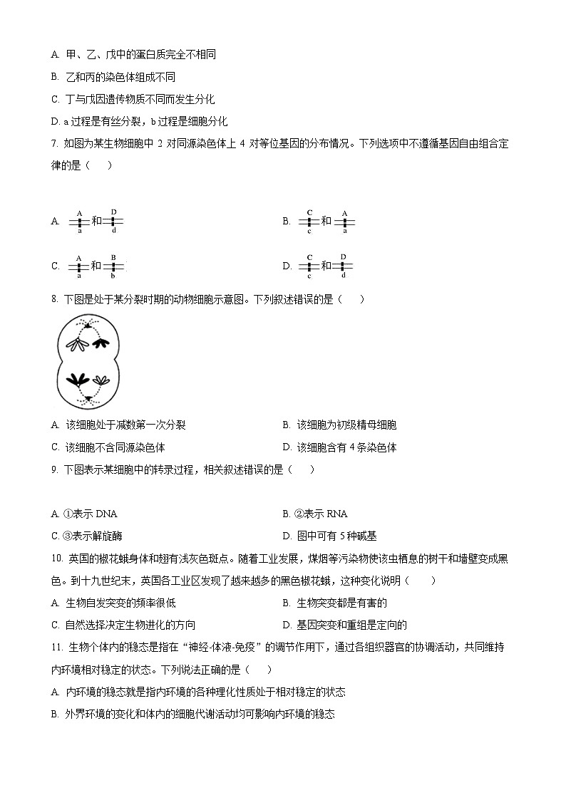 精品解析：浙江省宁波市咸祥中学2022-2023学年高二上学期期中检测生物试题（原卷版+答案解析）02