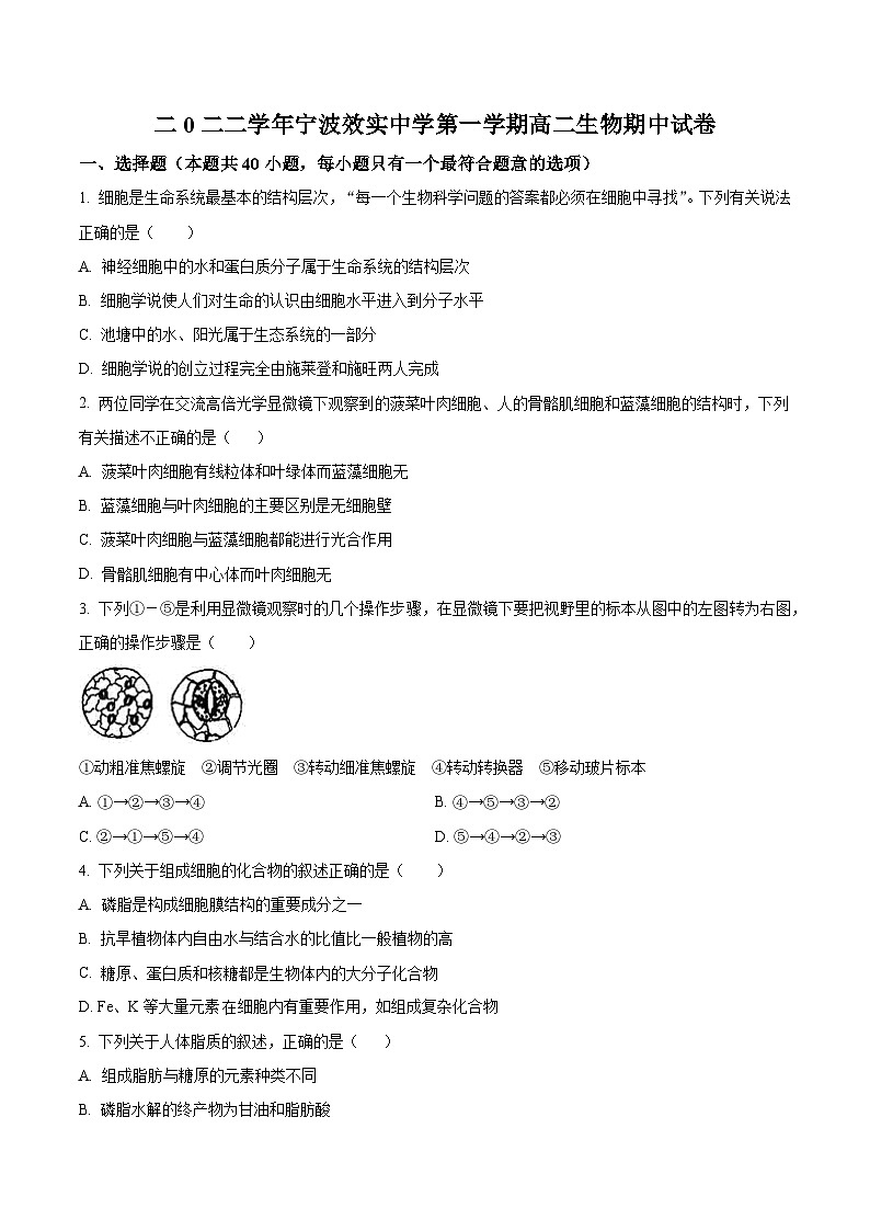 精品解析：浙江省宁波效实中学2022-2023学年高二上学期期中生物试题（原卷版+答案解析）01