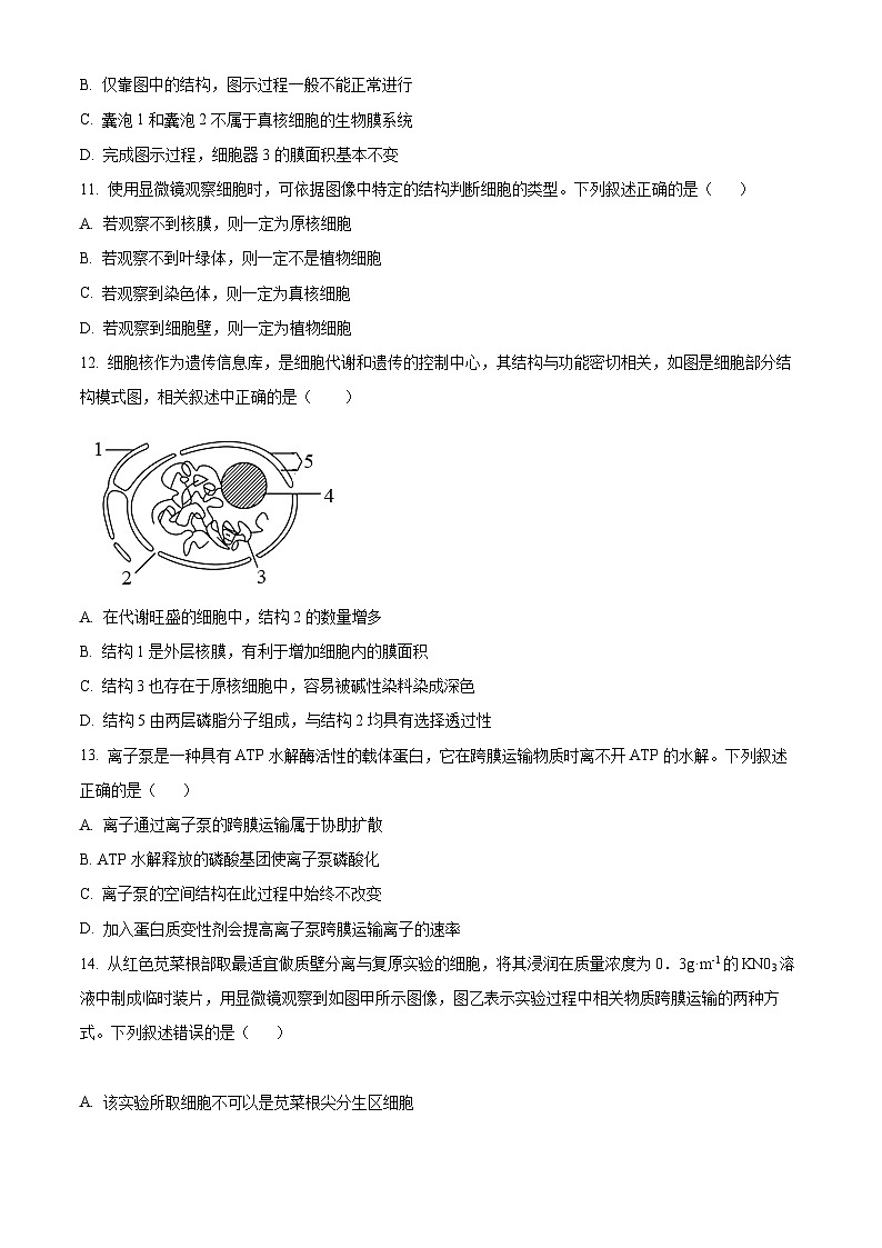 精品解析：浙江省宁波效实中学2022-2023学年高二上学期期中生物试题（原卷版+答案解析）03