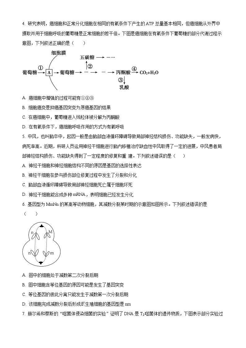 精品解析：浙江省台州市一中2022-2023学年高二上学期期中生物试题（原卷版+答案解析）02