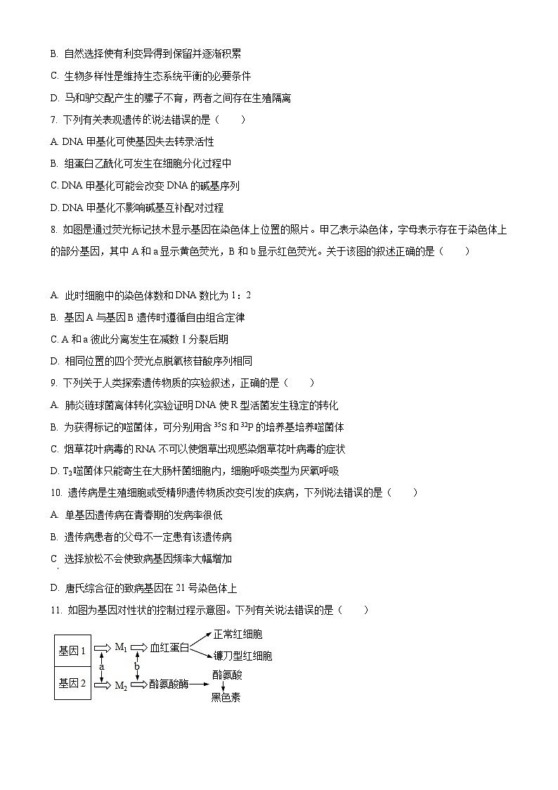 精品解析：浙江省A9协作体2022-2023学年高二上学期期中联考生物试题（原卷版+答案解析）02