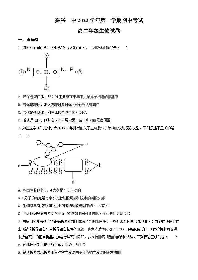 精品解析：浙江省嘉兴市一中2022-2023学年高二上学期期中检测生物试题（原卷版+答案解析）01