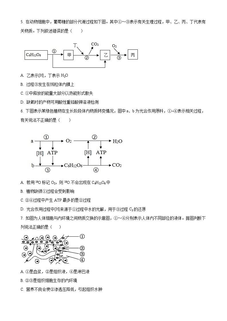 精品解析：浙江省金华市曙光学校2022-2023学年高二上学期期中检测生物试题（原卷版+答案解析）02