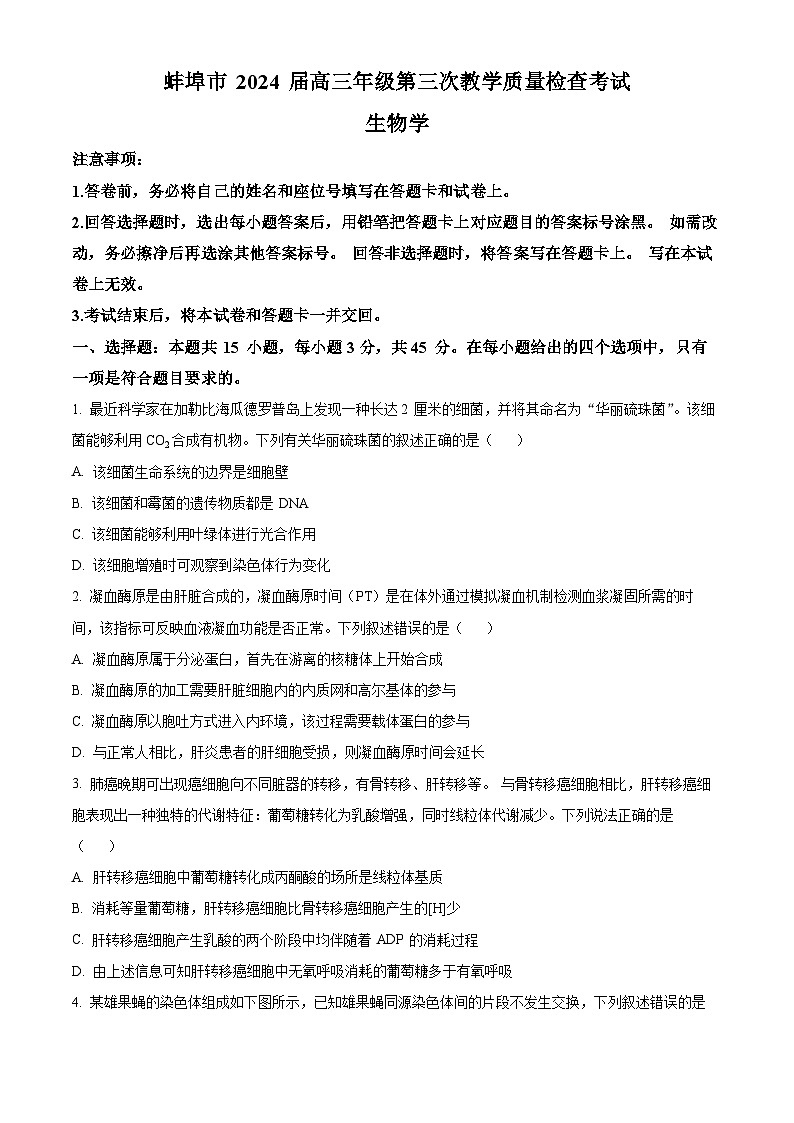 2024蚌埠高三下学期第三次教学质量检查试题生物含解析01