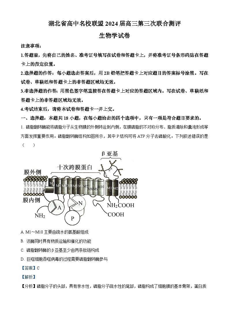 2024湖北省高中名校联盟高三上学期第三次联合测评生物试题含解析01