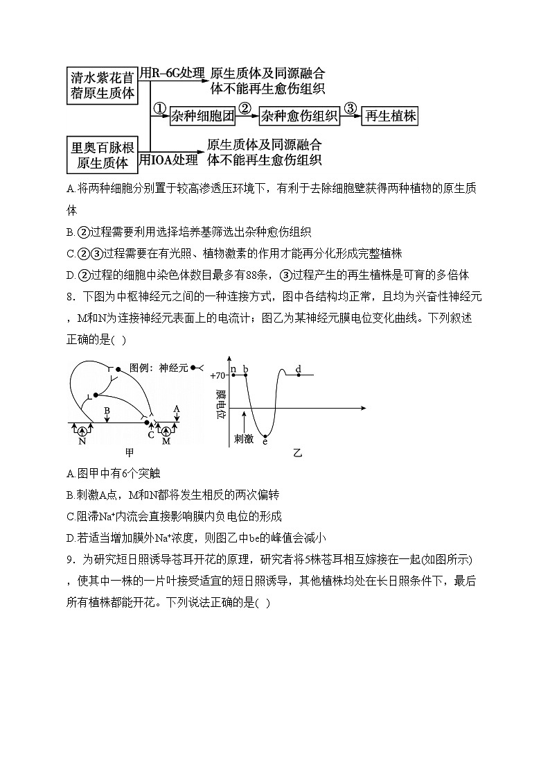 江苏省盐城中学2023-2024学年高二上学期期末考试生物试卷(含答案)第3页