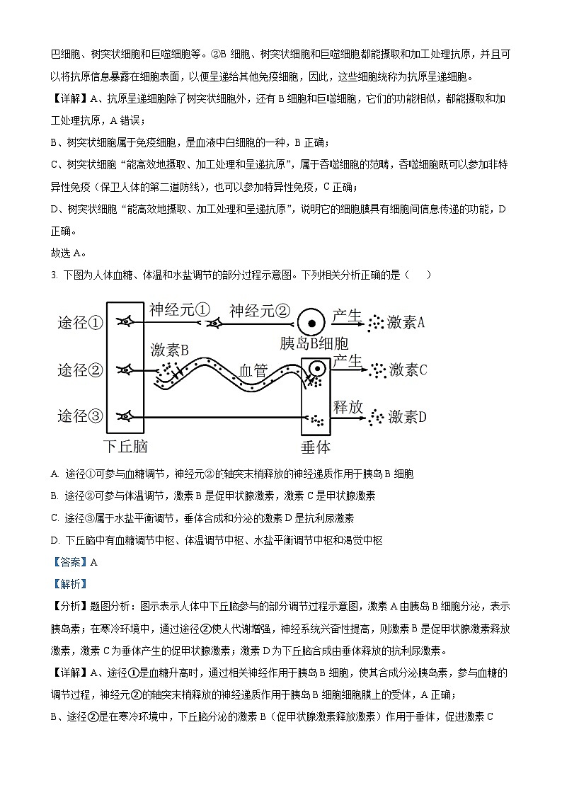 四川省广安市华蓥中学2023-2024学年高二下学期开学生物试题（Word版附解析）02