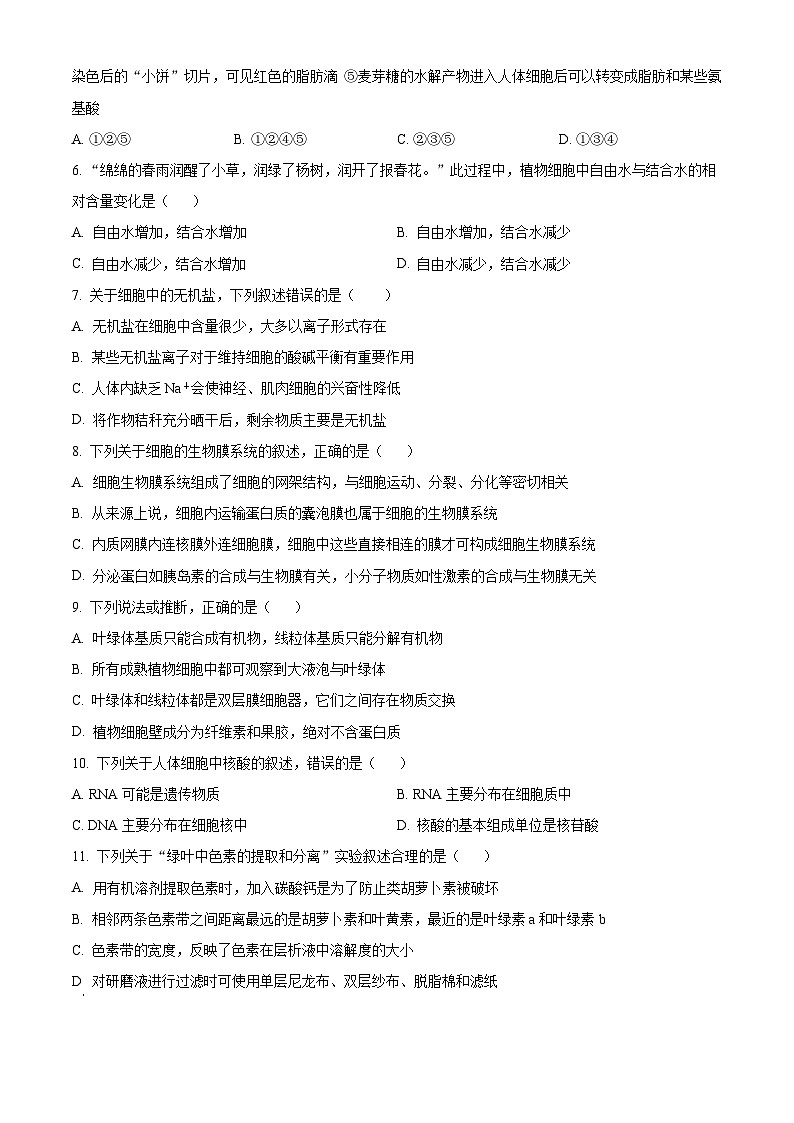 四川省宜宾市兴文第二中学2023-2024学年高一下学期开学生物试题（Word版附解析）02