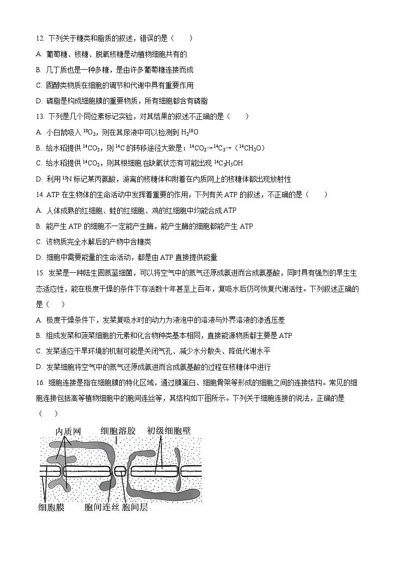 四川省宜宾市兴文第二中学2023-2024学年高一下学期开学生物试题（Word版附解析）03