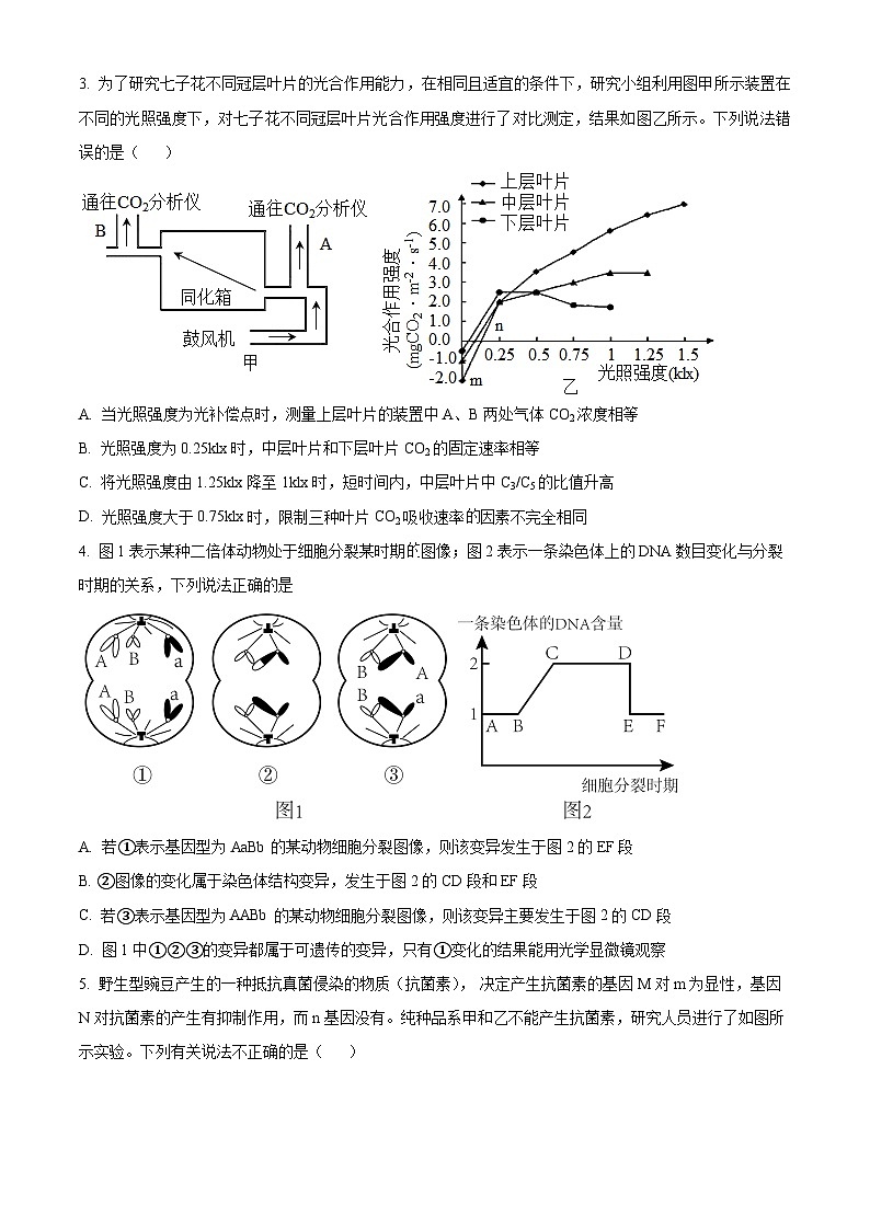 重庆市渝北中学2023-2024学年高三下学期2月月考生物试题（Word版附解析）02