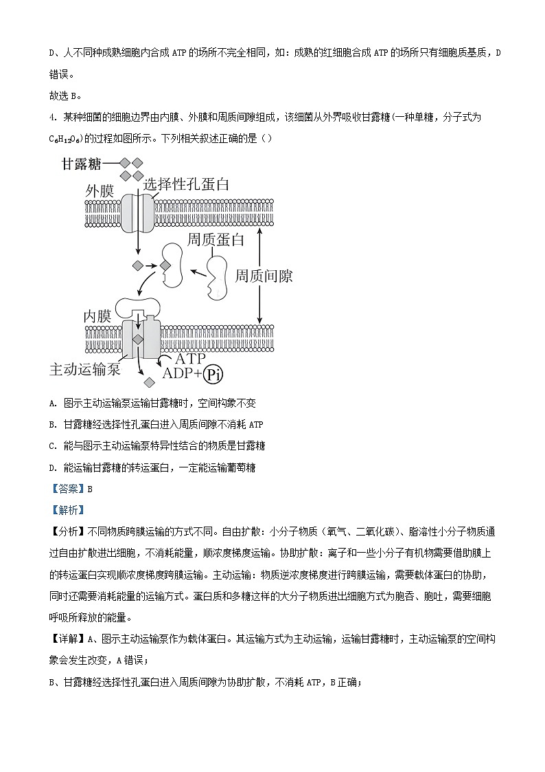 安徽省巢湖市2023_2024学年高三生物上学期10月月考试题含解析03