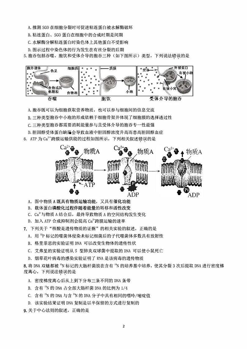 广东省惠州2023_2024高三生物上学期第二次调研考试试题02