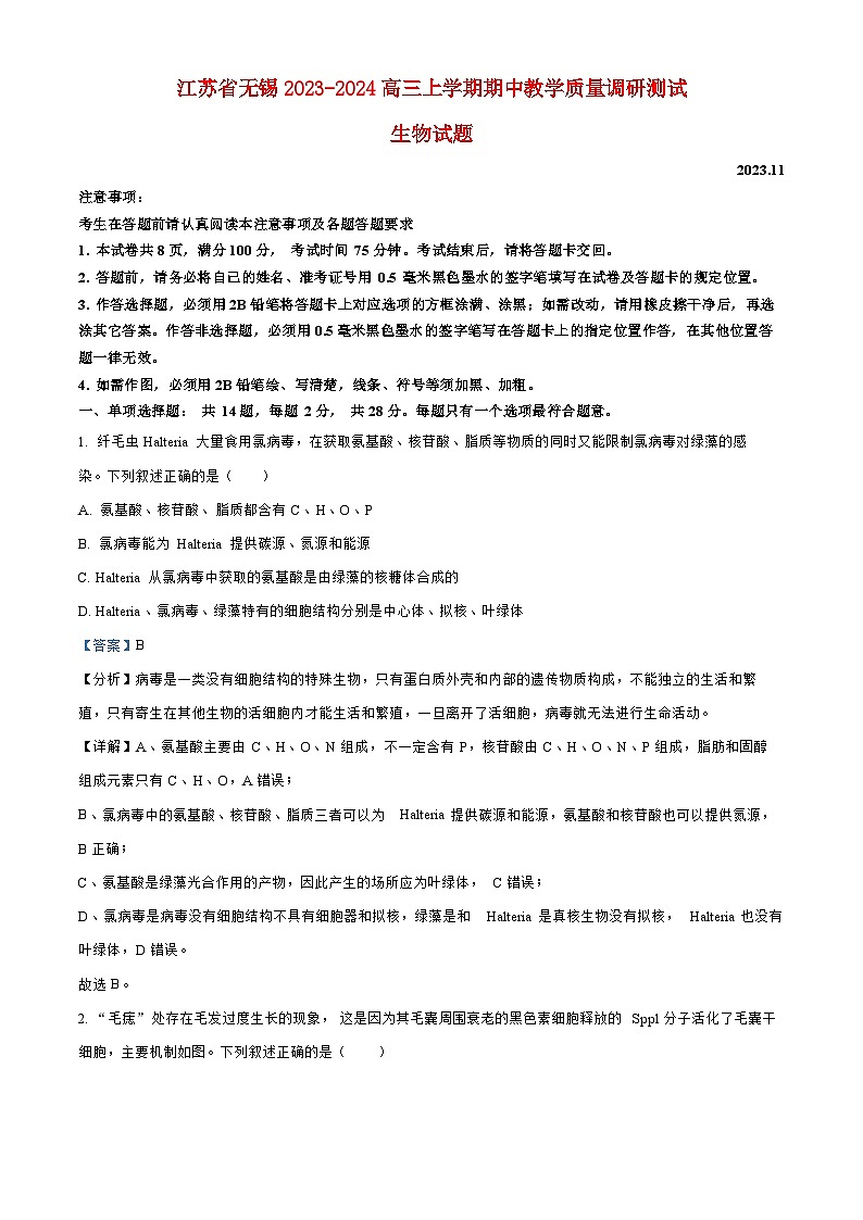 江苏省无锡2023_2024高三生物上学期期中教学质量调研测试题01