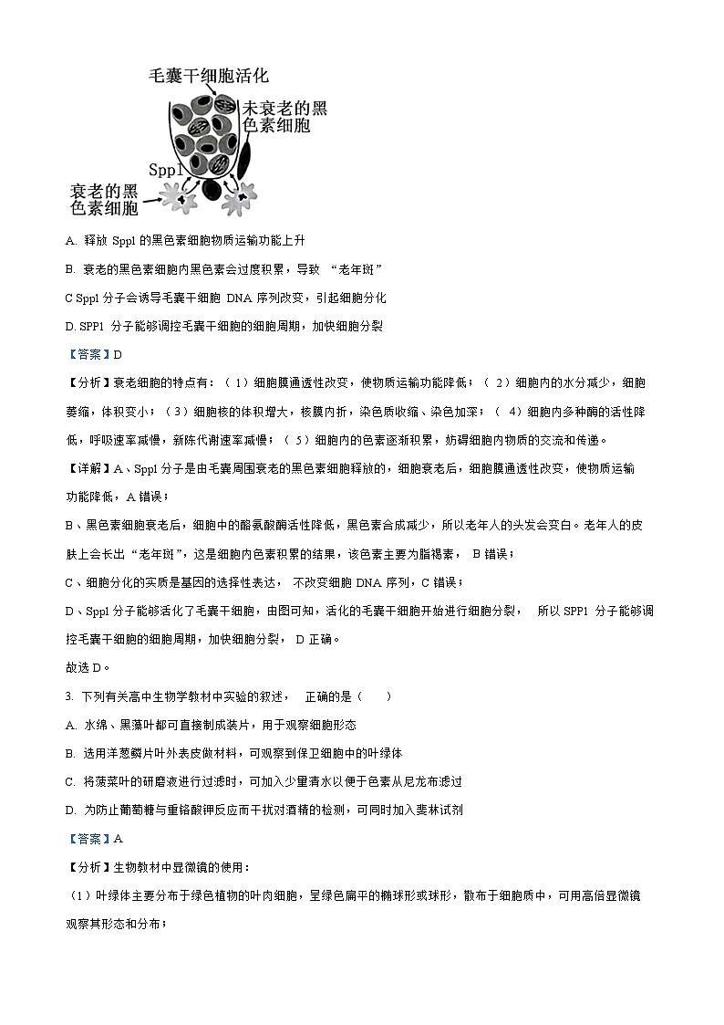 江苏省无锡2023_2024高三生物上学期期中教学质量调研测试题02