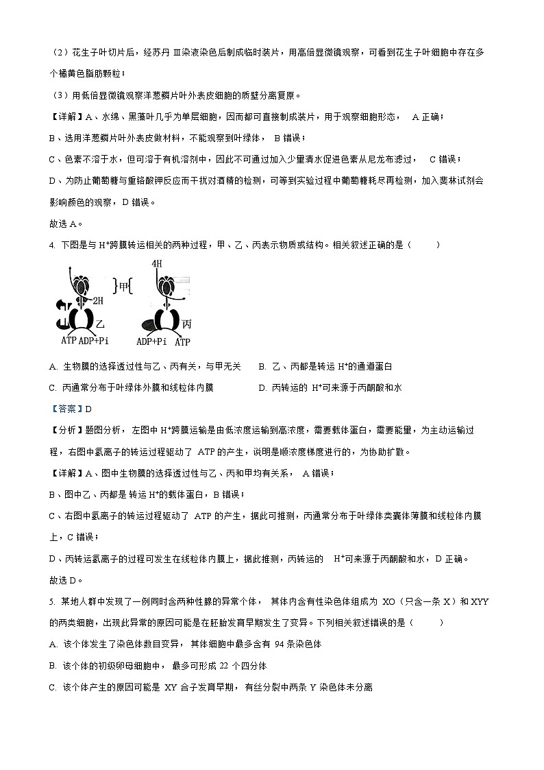 江苏省无锡2023_2024高三生物上学期期中教学质量调研测试题03