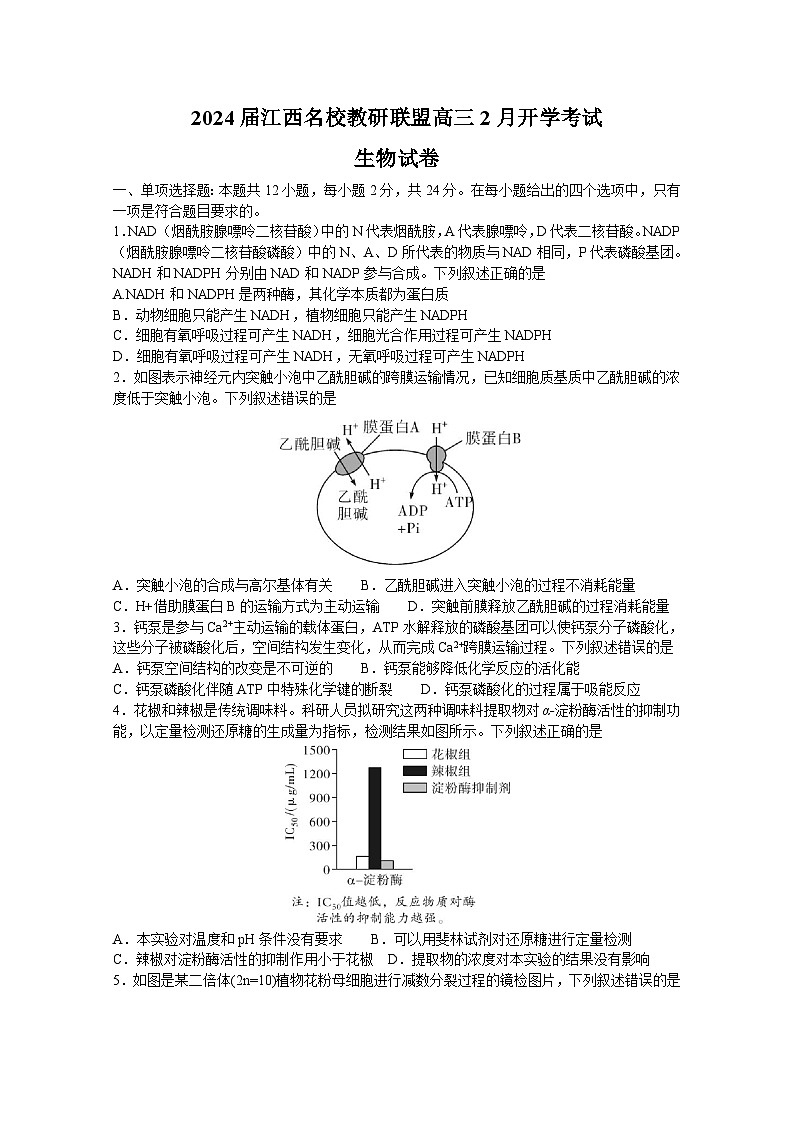江西省名校教研联盟2023-2024学年高三下学期2月开学考试生物试卷（Word版附解析）01