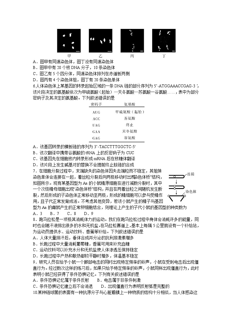江西省名校教研联盟2023-2024学年高三下学期2月开学考试生物试卷（Word版附解析）02