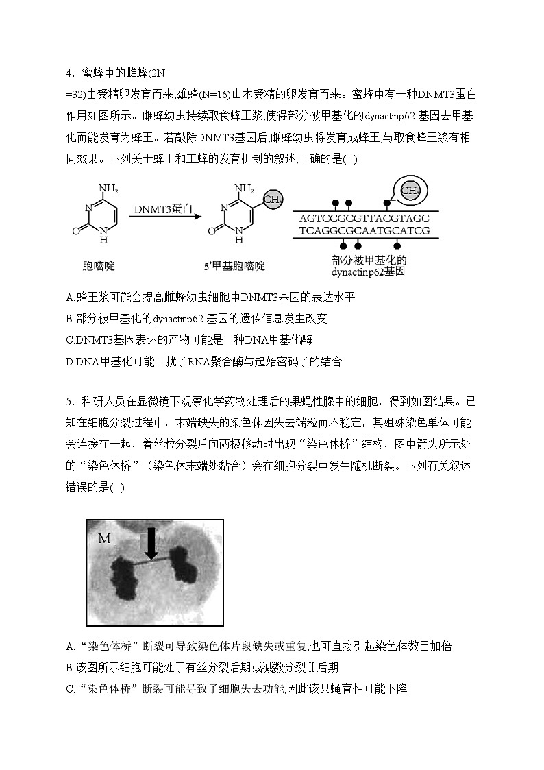 安徽六校2024届高三年级第二次素养测试生物试卷(含答案)02