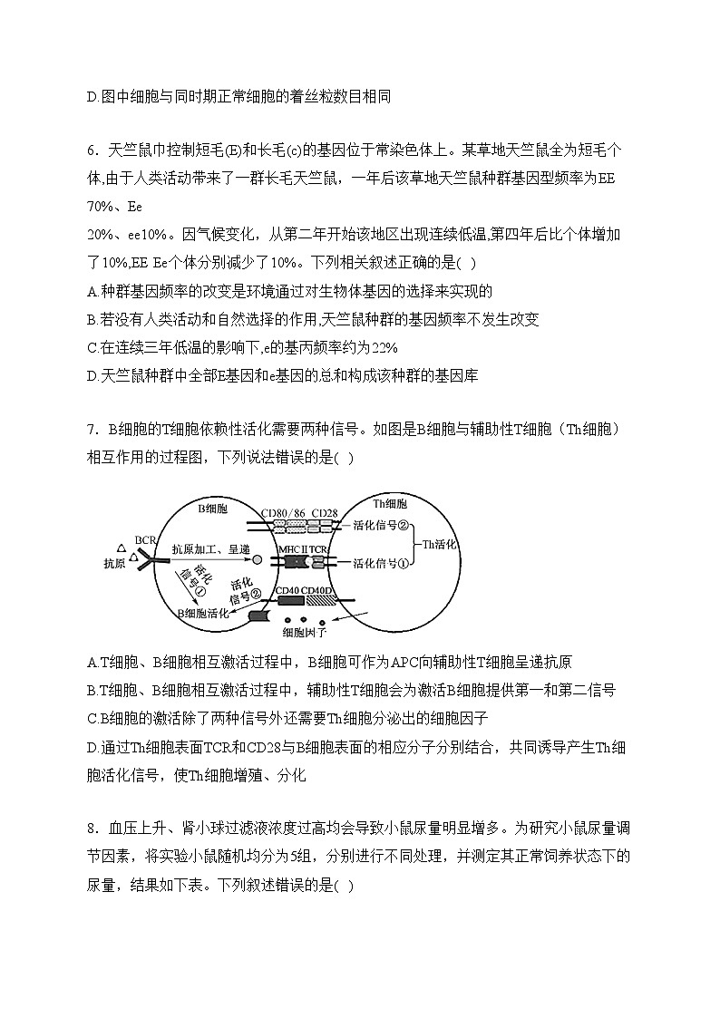 安徽六校2024届高三年级第二次素养测试生物试卷(含答案)03