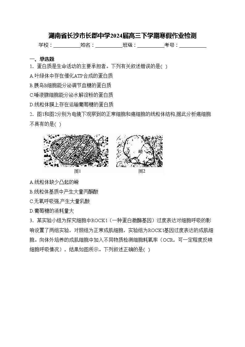 湖南省长沙市长郡中学2024届高三下学期寒假作业检测(含答案)01