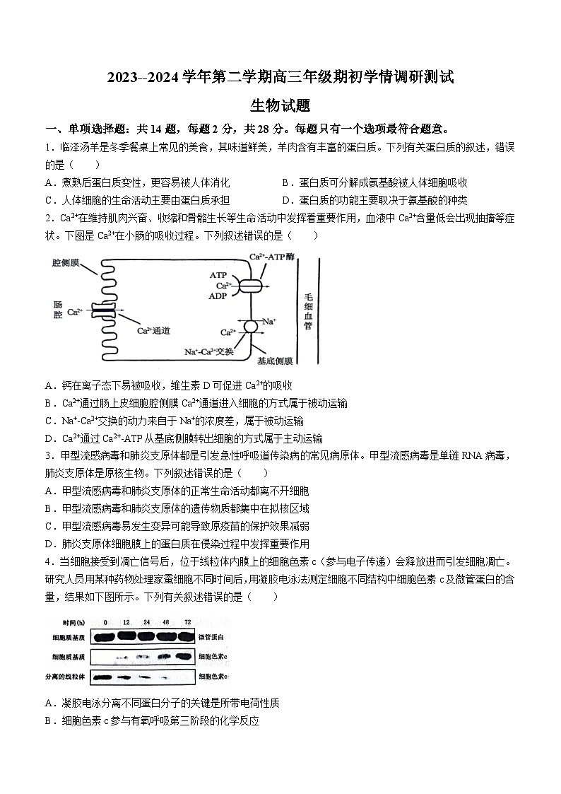 2024高邮高三下学期开学考试生物含答案第1页