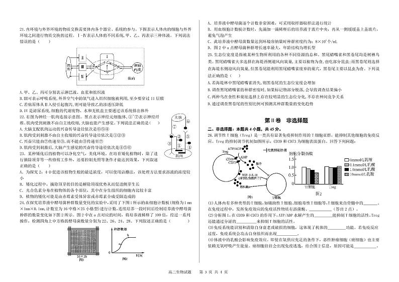 2024长春第二实验中学高二下学期开学考试生物PDF版含答案（可编辑）第3页