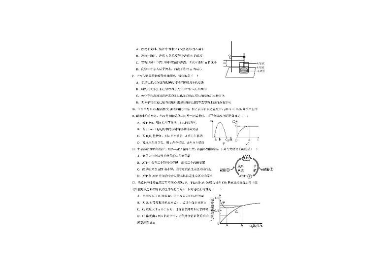 安徽省淮北市龙兴中学2023-2024学年高一上学期期末考试生物试题03