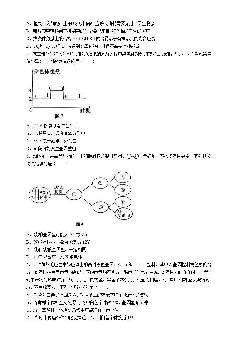2024届贵州省贵阳市一中高三一模生物试题(无答案)02