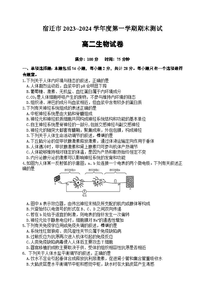 江苏省宿迁市2023_2024学年高二上学期期末测试生物试卷01