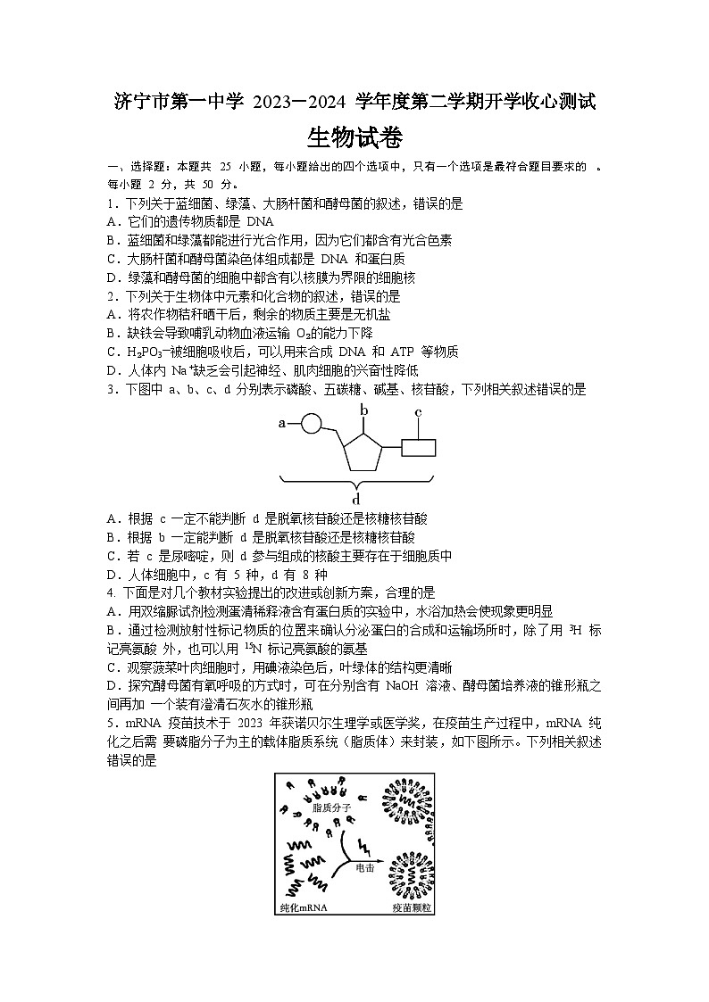山东省济宁市第一中学2023-2024学年高一下学期开学考试生物试题01