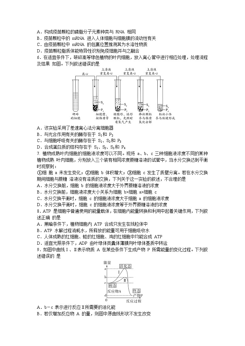 山东省济宁市第一中学2023-2024学年高一下学期开学考试生物试题02