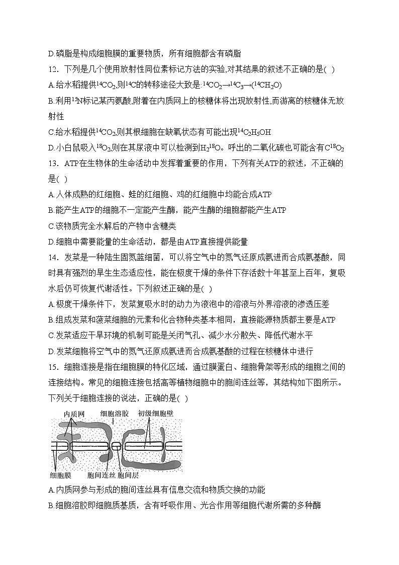 四川省兴文第二中学校2023-2024学年高一下学期开学考试生物试卷(含答案)03