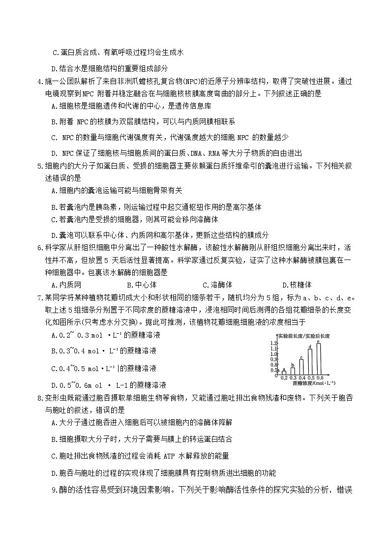 河南省优质高中2023-2024学年高一下学期2月开学考试生物试卷（Word版附答案）02