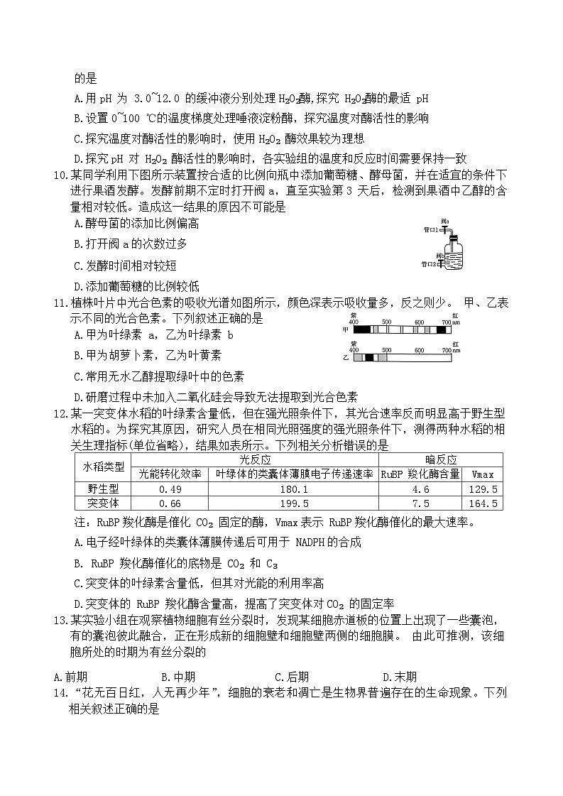 河南省优质高中2023-2024学年高一下学期2月开学考试生物试卷（Word版附答案）03